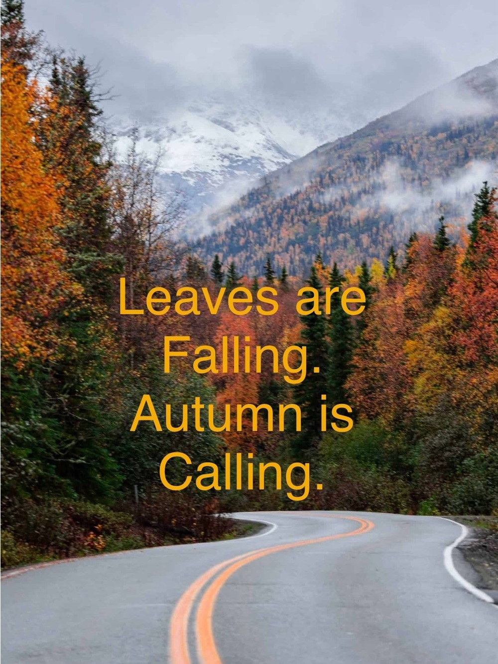 Happy Fall!